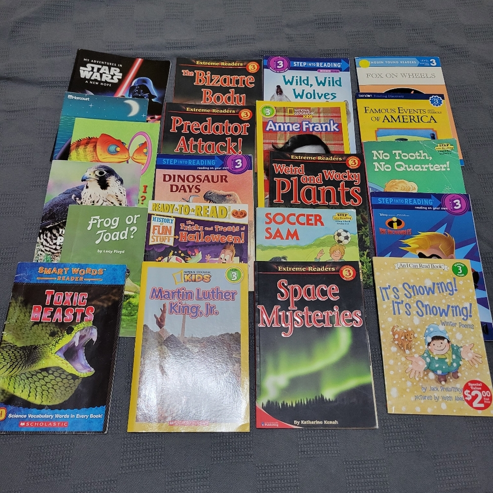 Level 3 Reading Book Lot